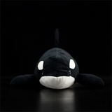 orque en peluche vue de face
