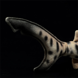 peluche requin tigre queue